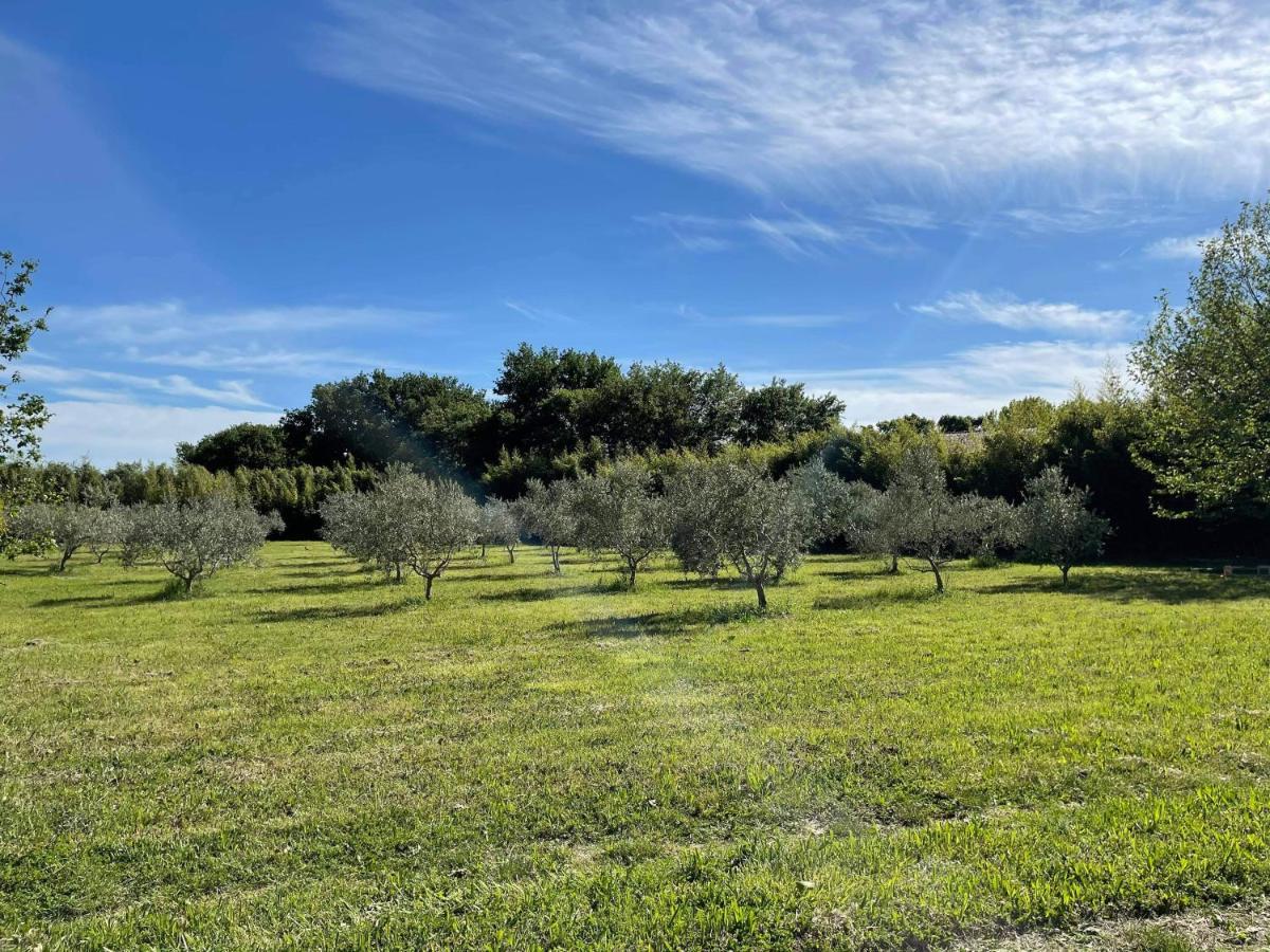 Appartement De Charme Sud Luberon Classe 4 Etoiles Puyvert Екстер'єр фото